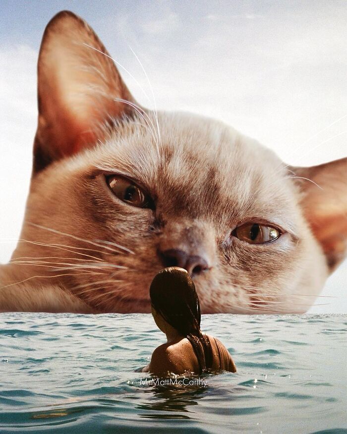 Surreal parallel universe scene with a giant cat overlooking a person swimming in open water.