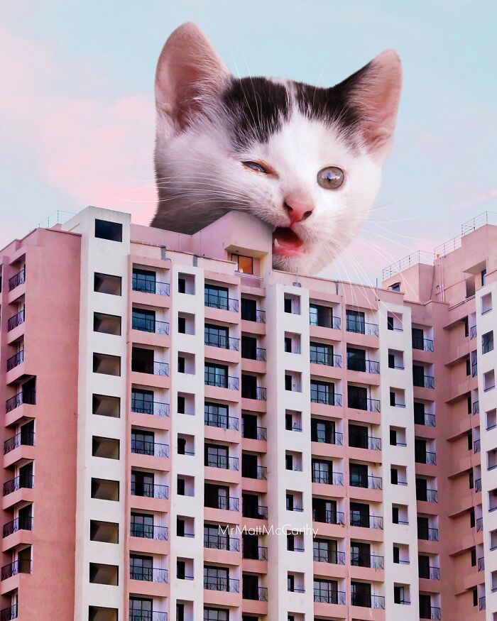Surreal parallel universe with a giant cat looming over a tall apartment building at sunset.