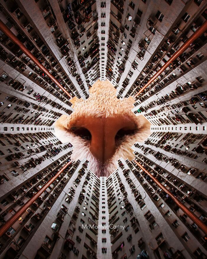 Surreal parallel universe with a giant cat's nose surrounded by towering buildings in a digitally imagined cityscape.