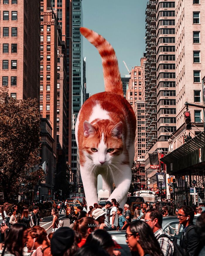 Giant cat towering over busy city street with pedestrians in surreal parallel universe art piece.