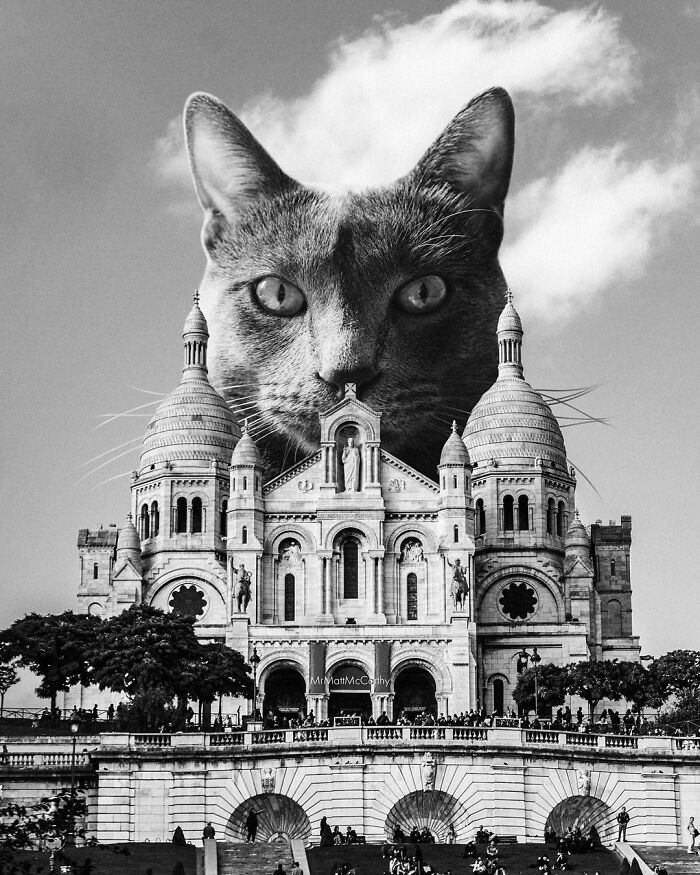 Surreal parallel universe image featuring a giant cat towering over a historic cathedral in black and white.