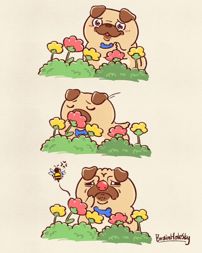 Cute animal comic featuring a pug interacting with colorful flowers in a hilariously relatable comic strip style.