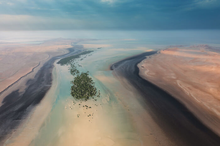 Aerial view of a mangrove forest surrounded by water and sandy shores in a spectacular mangrove photography awards entry.