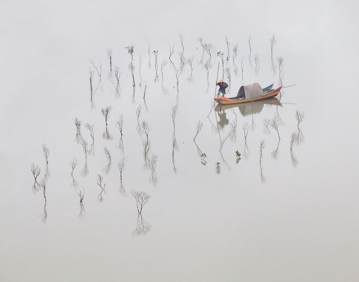 Aerial view of a person in a small boat navigating through sparse mangrove trees in shallow calm water, mangrove photography awards.