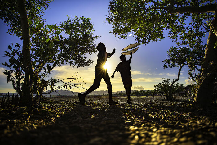 Silhouetted figures walking through mangroves at sunset, capturing stunning natural scenes for mangrove photography awards.