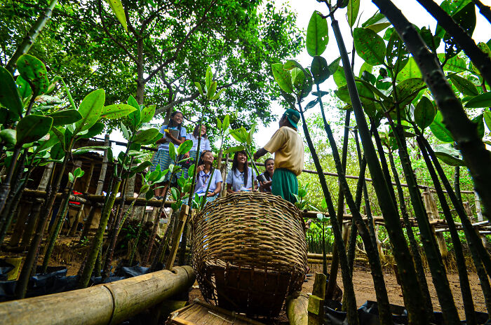 Group of people surrounded by mangrove plants in a natural setting, showcasing mangrove photography awards imagery.