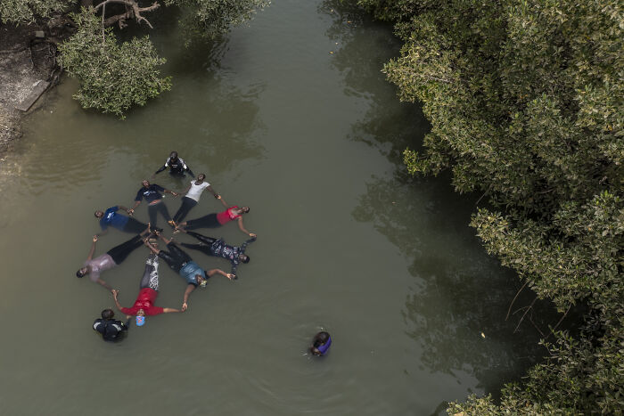 Group of people holding hands and floating in water surrounded by mangrove trees, showcasing mangrove photography awards.