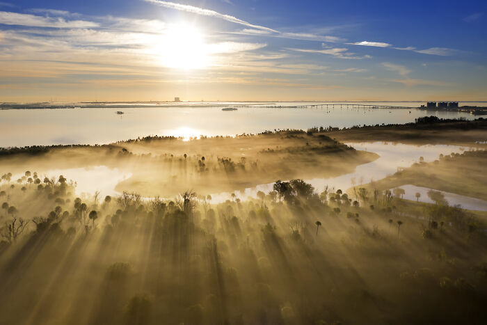 Sunrise over misty mangrove forest with golden light rays highlighting the natural beauty in mangrove photography awards.