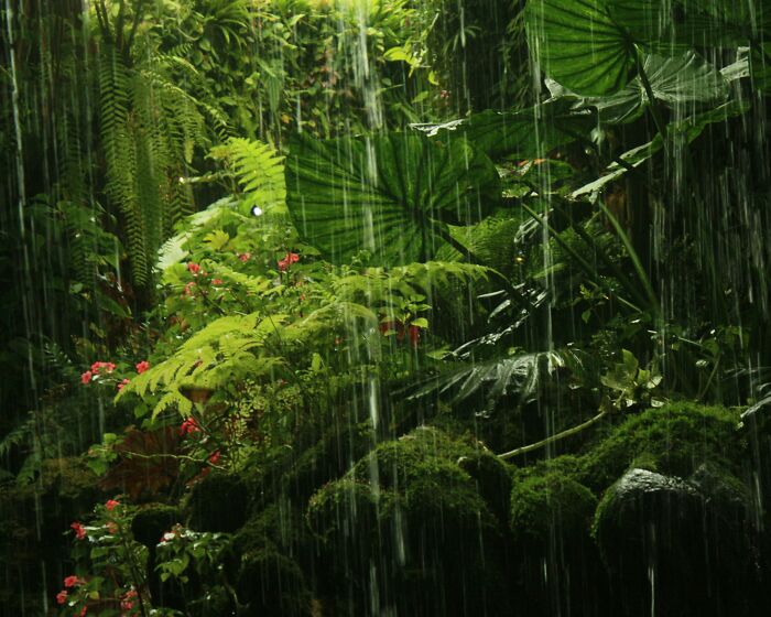 50 Times People Were So Uninformed, It Was Almost Impressive