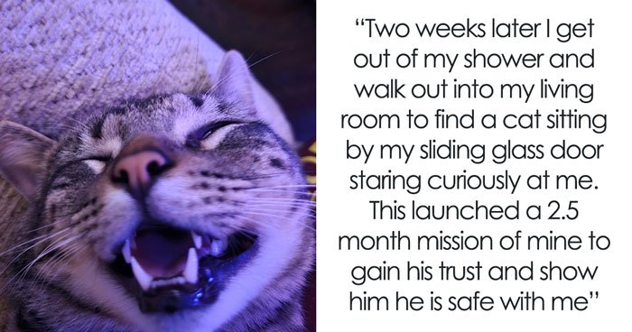 Stray Cat Sneaking Into Man’s Home Leads To A Heartwarming Friendship That Will Last A Lifetime