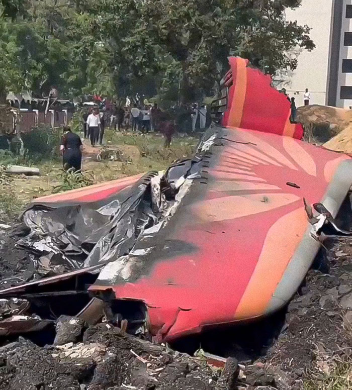 Wreckage of Air India plane crash with debris scattered near a tree and bystanders in the background.