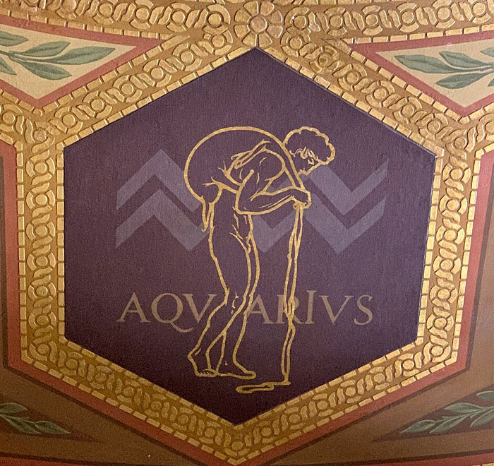 Illustration of the Aquarius zodiac sign in gold on a purple hexagonal background with decorative border.