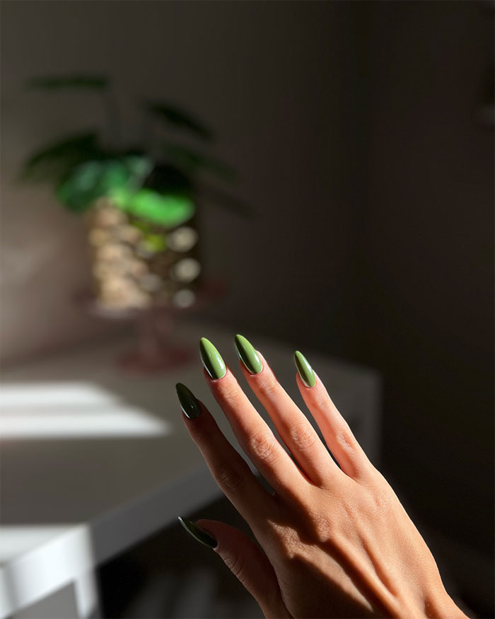 Hand with glossy olive green almond nails illuminated by soft natural light against a blurred indoor background.