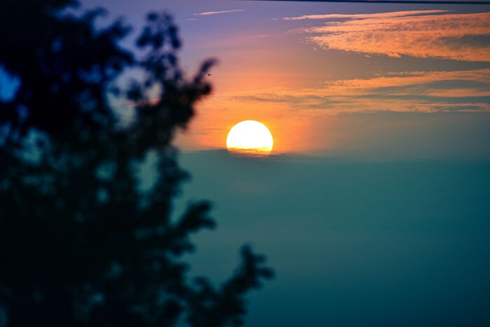 Sunrise seen through tree branches symbolizing the surprising benefits of night shift workers starting their day overnight. - 23