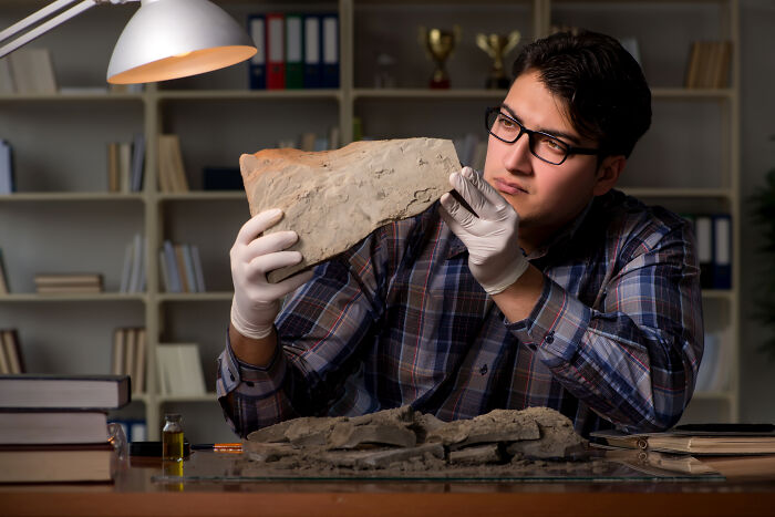 Scientist wearing gloves examining a fossil, representing research and use of bodies donated for science.