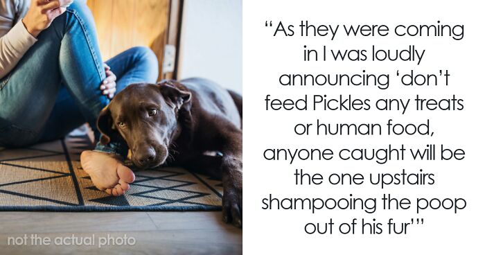 “AITA For Not Replacing My Nephew’s Leather Jacket After My Dog Had An Accident On It?”