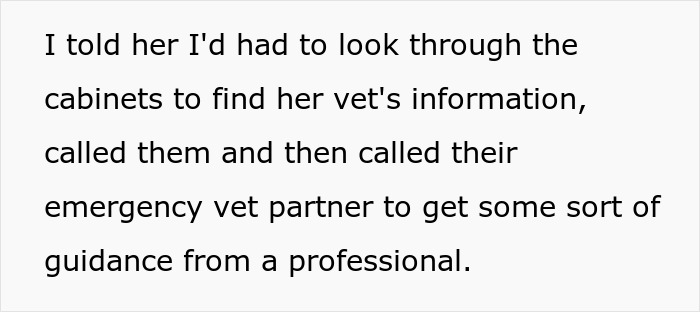 Text describing a person insisting to a friend about boarding a dog while seeking emergency vet guidance.