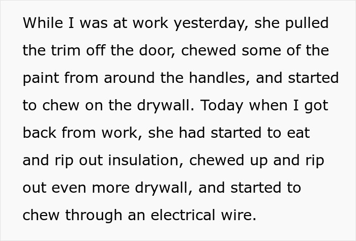 Insist friend board dog causing damage by chewing door trim, drywall, insulation, and electrical wire while owner was at work.