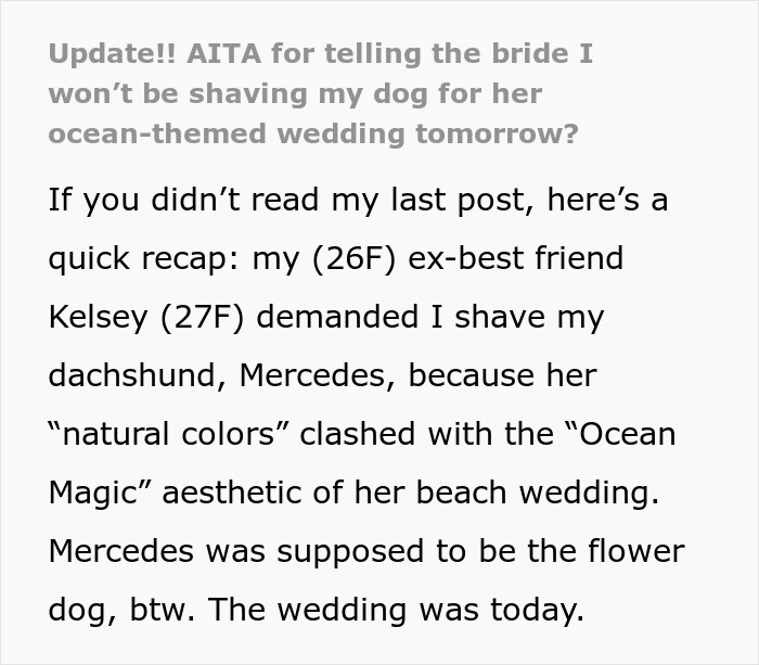 Woman bends over backward for bride's wishes, shocked when told to also shave her dog for wedding day preparation. - 22