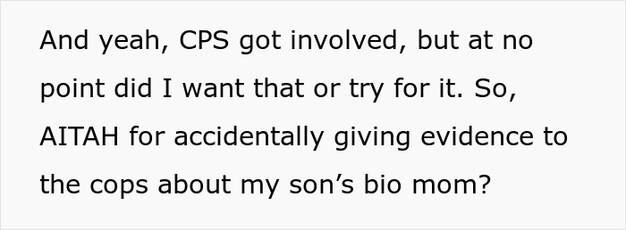 Text excerpt about CPS involvement in a co-parenting conflict and misunderstandings creating serious issues.