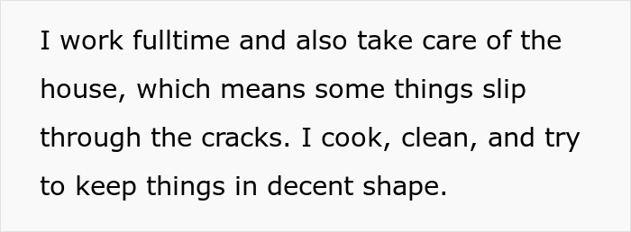 Text about working fulltime and managing house chores like cooking and cleaning while maintaining the home in decent shape after breakup. - 5
