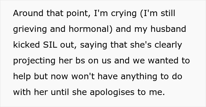 Text excerpt showing emotional moment with husband setting clear sil pregnancy husband boundaries after conflict. - 27