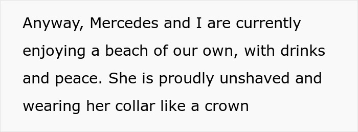 Woman bending over backward for bride's wishes, shocked when asked to also shave her dog at the beach. - 37