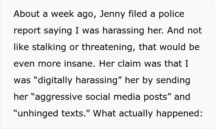 Text describing a co-parenting conflict involving claims of digital harassment and CPS involvement after misunderstandings escalate.