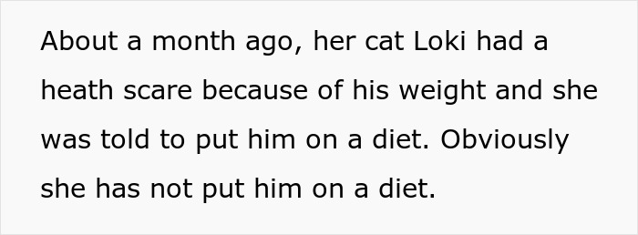 Text describing a cat named Loki who is severely overweight and has faced health issues due to his weight. - 3