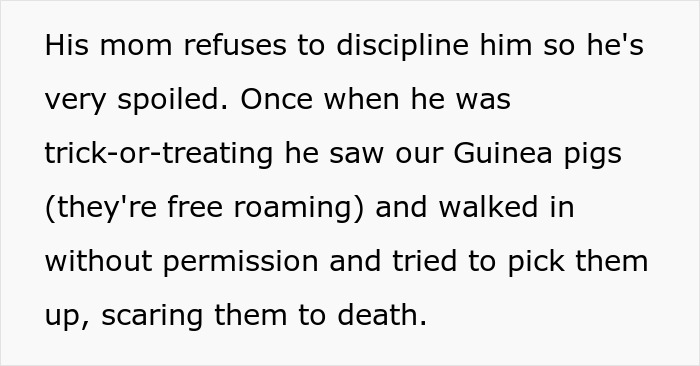 Spoiled kid scares pets by ignoring rules, neighbor refuses to babysit undisciplined child causing conflict with mom.