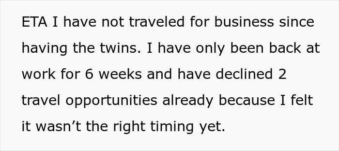 Text discussing travel and work challenges faced after having twins, highlighting solo trip and parenting realities. - 11