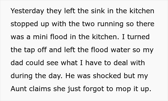 Message showing complaint about aunt invading home, demanding free childcare, leaving mess, and disrupting woman's birthday. - 8