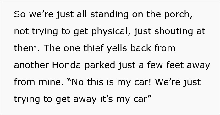 Text describing a car thief shouting from a Honda, claiming the car is theirs while bystanders try to stop the getaway. - 6