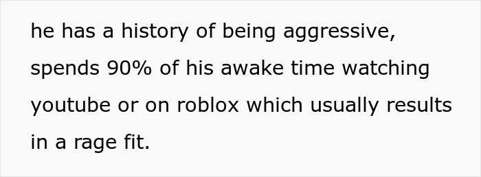 Text excerpt describing a history of aggression and a child with autism spending most awake time watching YouTube or Roblox. - 3