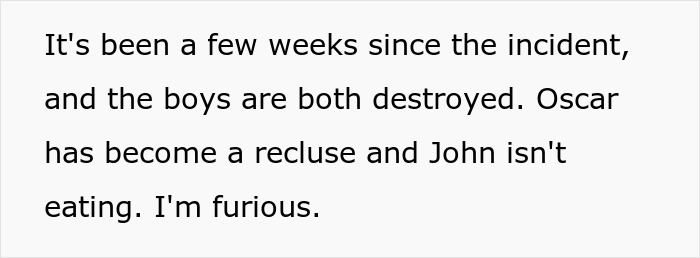 Text excerpt showing emotional impact of manipulative mom daughter story drama with boys destroyed and anger expressed. - 55