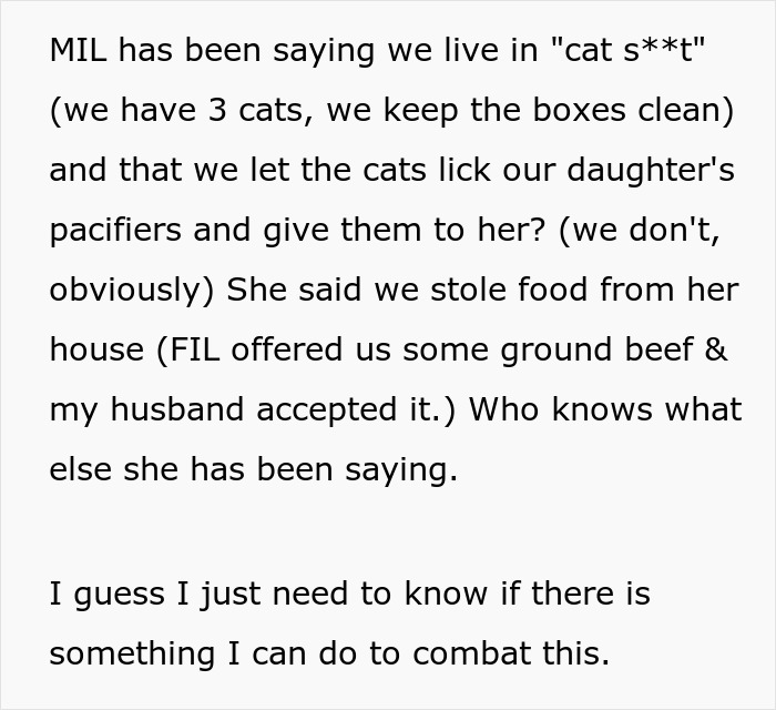 Text from a woman seeking advice after CPS threats from MIL, describing false accusations and asking for help. Text from a woman seeking advice after CPS threats from MIL, describing false accusations and asking for help.