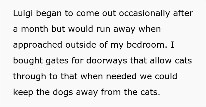 Roommate clash over cats and dogs with gates to separate pets, leading to legal battle and deposit refund. Roommate clash over cats and dogs with gates to separate pets, leading to legal battle and deposit refund.