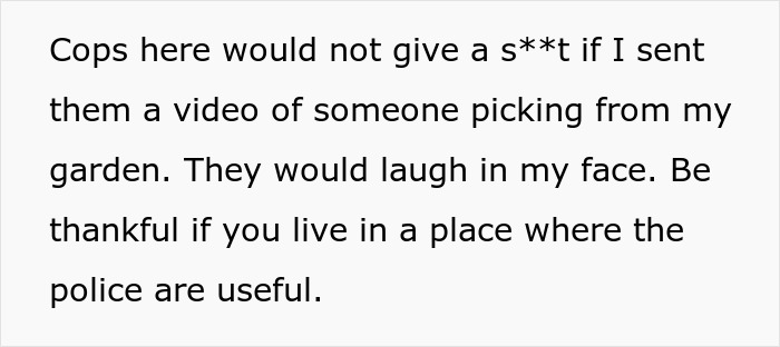 Text rant about neighbor&rsquo;s farm stand causing theft and frustration with local police ignoring reports.