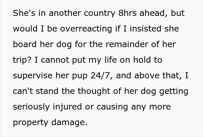 Alt text: Concerned friend debating whether to insist friend board dog during extended trip to prevent injury or property damage