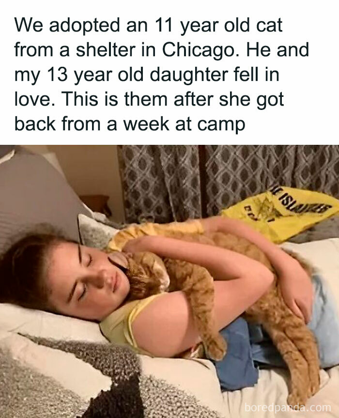 Young girl hugging her adopted cat on a bed, showcasing the beauty of planet Earth through wholesome moments.