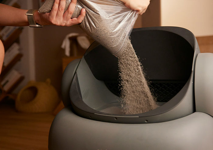 Pouring cat litter into a clean litter box, illustrating home red flags that turn a first date into a last one.