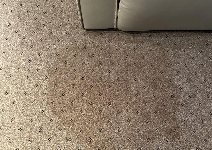 Stained carpet near sofa showing a common home red flag that can ruin a first date impression.