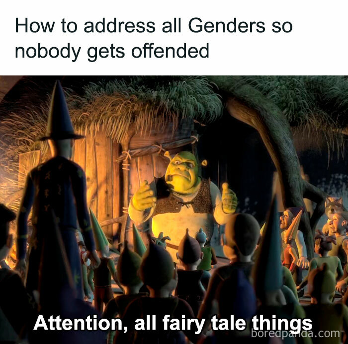 Scene from Shrek with caption about addressing all genders, highlighting cringy jokes about boomers and the internet clash.