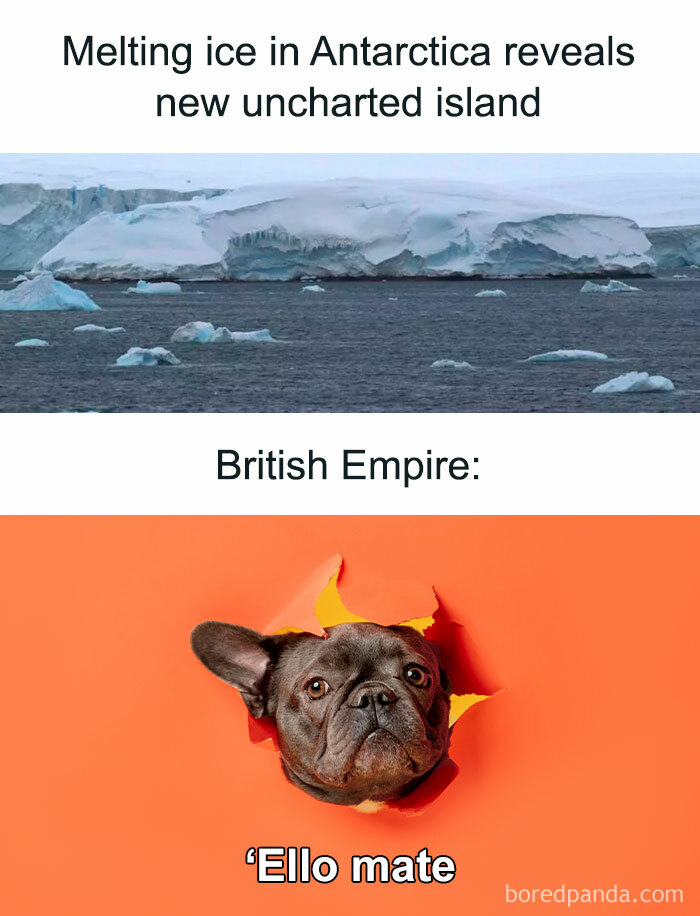 Melting ice reveals new island, British Empire humor captured by a dog breaking through orange background in funny UK life memes.