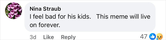 Comment on social media expressing sympathy for children and mentioning a lasting meme in a light gray text box. - 28
