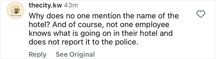 Comment discussing the unnamed hotel with unclear staff response related to the Ukrainian model injured on Dubai roadside. - 25