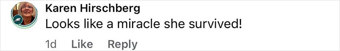 Comment reading looks like a miracle she survived expressing shock about woman surviving after holding on to rising drawbridge. Comment reading looks like a miracle she survived expressing shock about woman surviving after holding on to rising drawbridge.