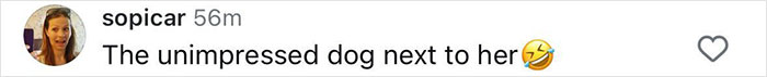 Comment on social media post showing user sopicar&rsquo;s message about an unimpressed dog next to a woman, highlighting humorous reaction.