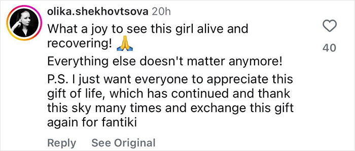 Instagram comment praising Ukrainian model’s recovery after horrific roadside injury in Dubai, mentioning gratitude and survival. - 18