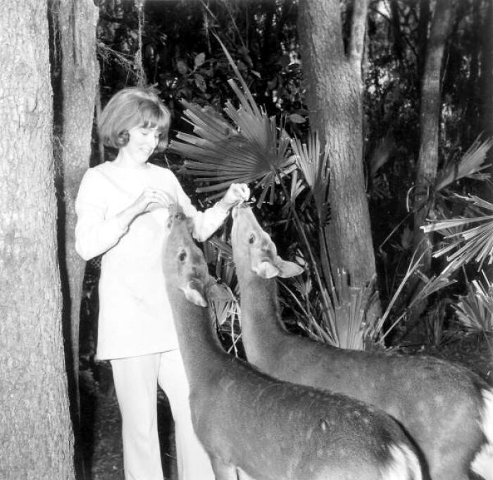 Woman in Florida in the 1970s feeding two deer in a wooded area, breaking barriers with wildlife interaction.